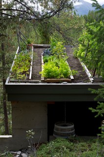 greenroofs south africa