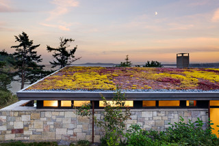 greenroof south africa