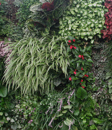 vertical gardens living walls