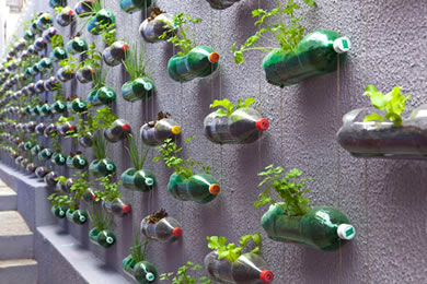 DIY Vertical Garden on wall